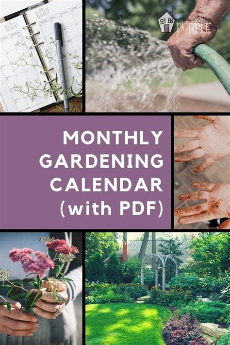 herb garden month by month herb garden month by month Doc